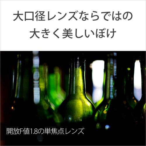 ソニー SONY 単焦点レンズ フルサイズ対応 SEL55F18Z