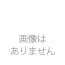 セール価格　新品保証なし初期不良対応　Nikon ミラーレス一眼カメラ Z fc ボディ Zfc